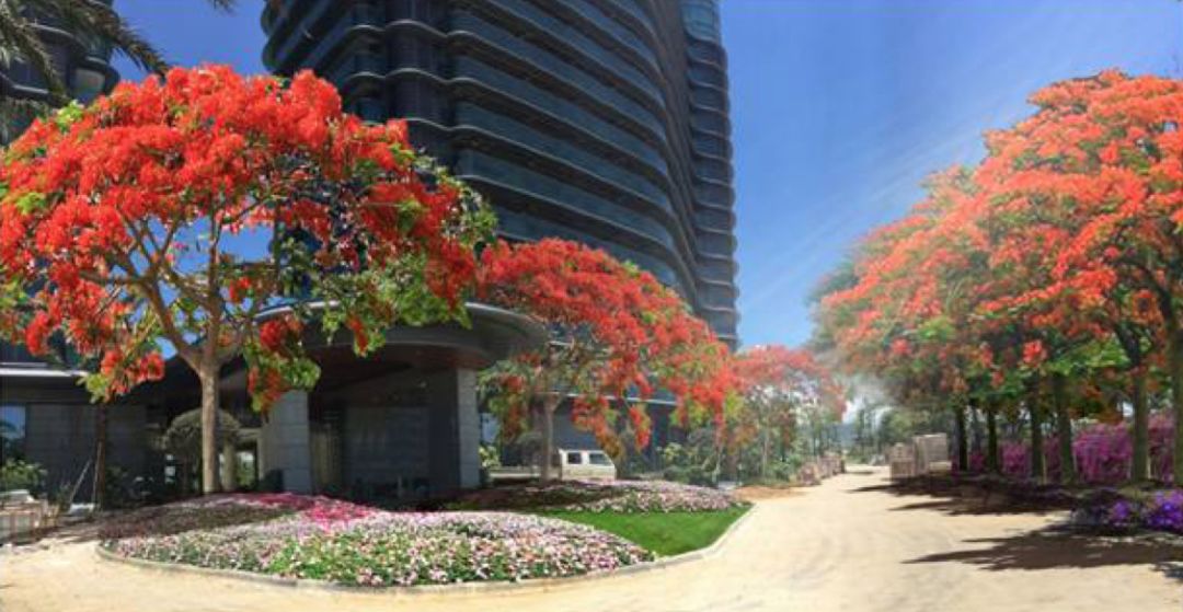 640-53.jpg 640-53.jpg