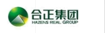 合正集團(tuán)