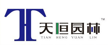 徐星星