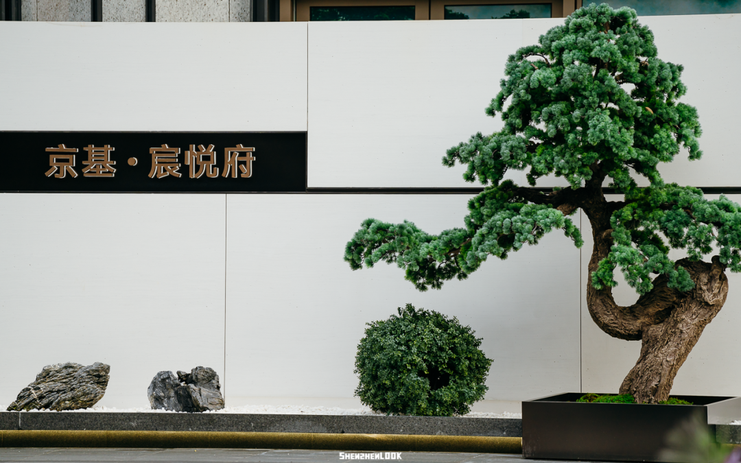 深圳·京基·宸悅府