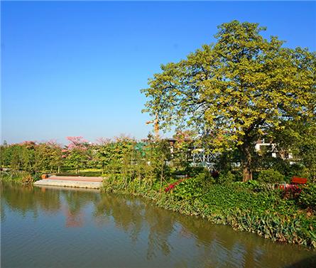 顺德华侨城天鹅湖景观设计