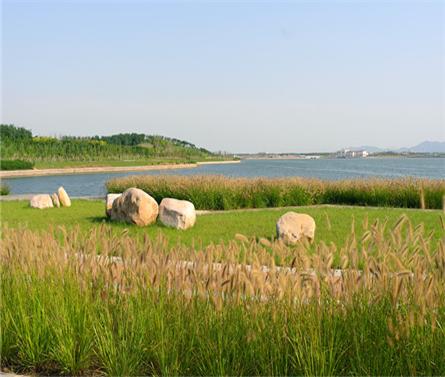 胶州湾产业新区跃进河两岸景观规划