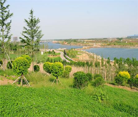 胶州湾产业新区跃进河两岸景观规划
