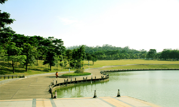 东莞绿色世界城市公园   