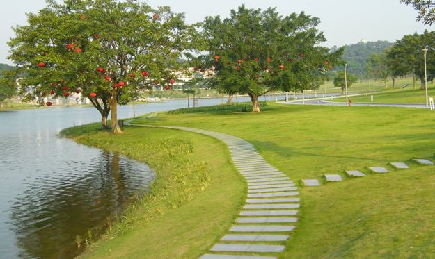 东莞绿色世界城市公园   