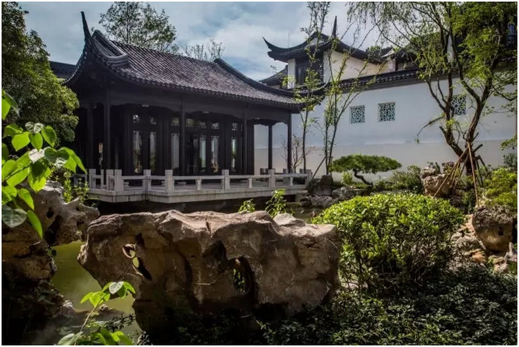 金盘网图片 宝华·桃李春风