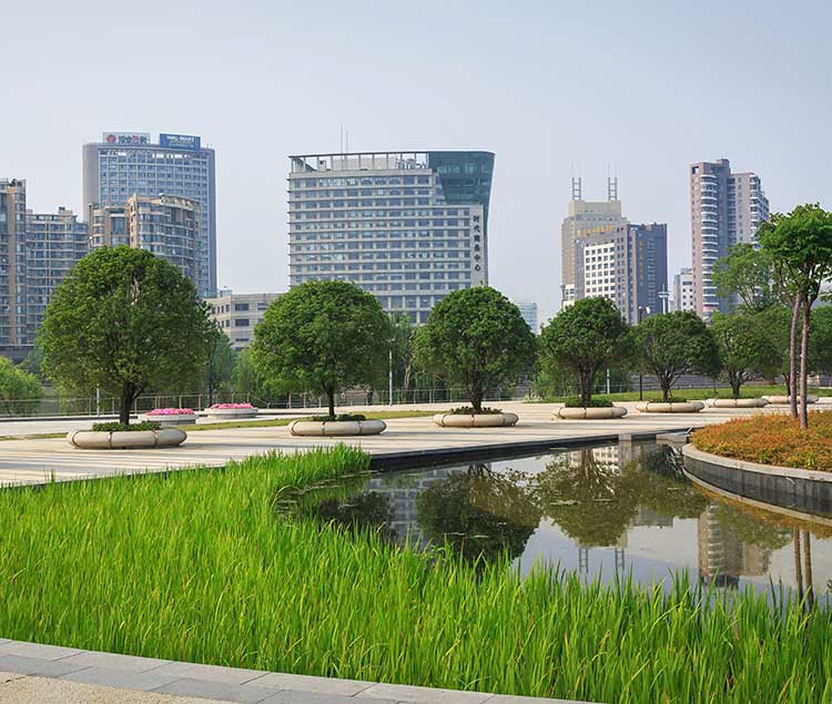 金盘网图片 五百滩市民公园