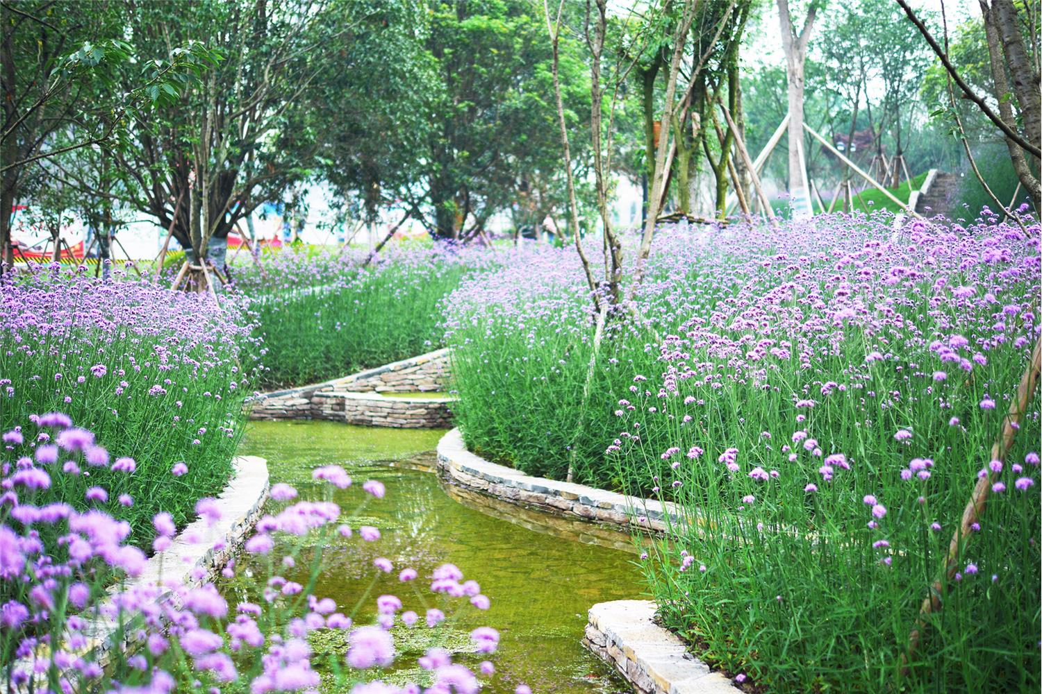 合川花滩国际新城公园