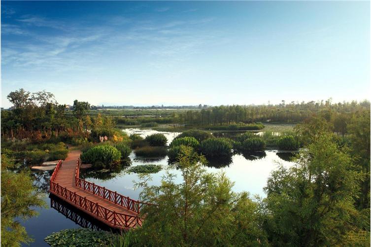 湿地公园 小桥流水.jpg