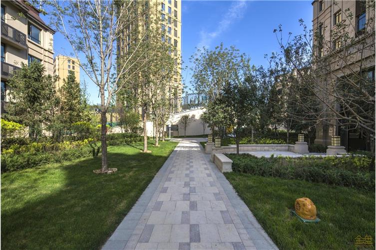 797F2226_看图王.jpg
