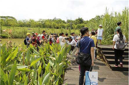 大觀濕地公園導覽系統設計