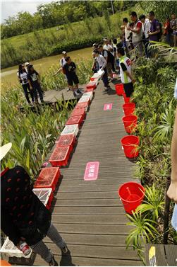 大觀濕地公園導覽系統設計