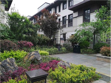香龍灣景觀設計