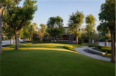 Burasiri San Phi Suea