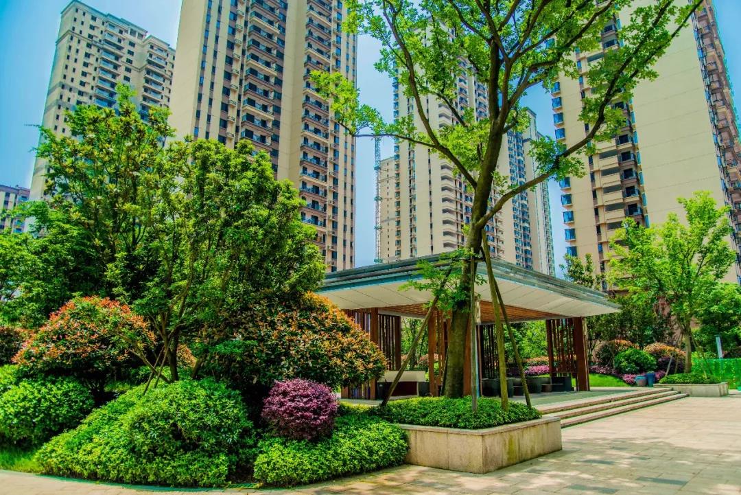 金盘网图片 株洲中建·江湾壹号