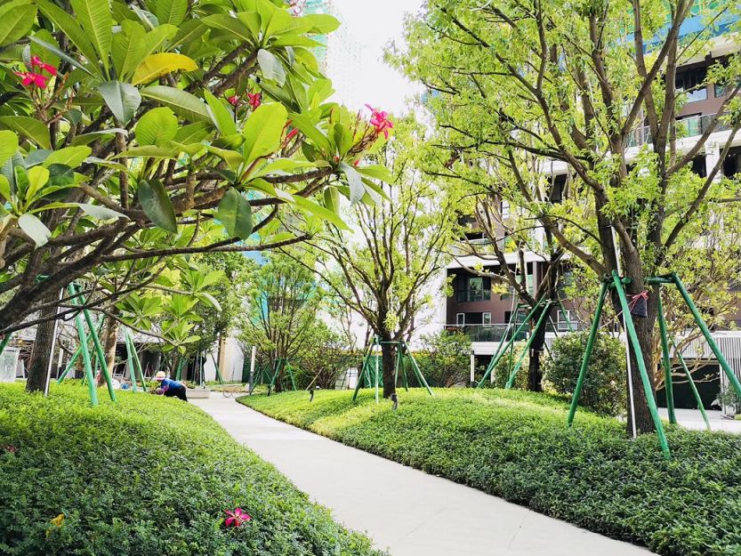 珠海雅居乐国际花园