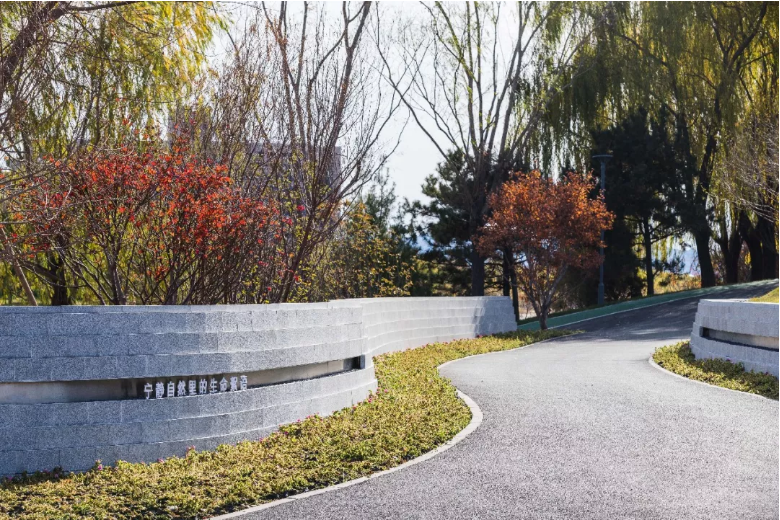 金盘网图片 阳光城·君山墅