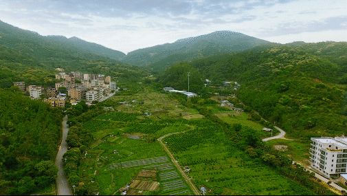 原实景01_1.gif