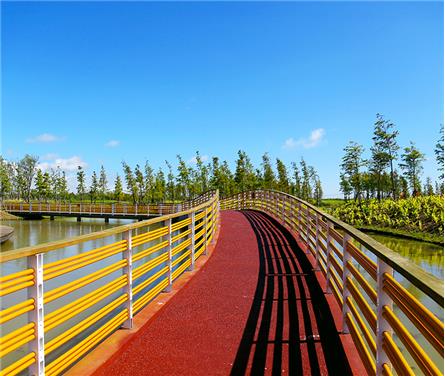 上海臨港新城春花秋色生態(tài)公園
