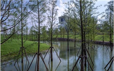 滁州明湖康养生态小镇项目