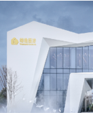 珠光白涂料