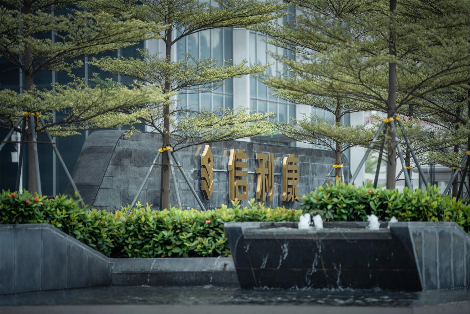 金盘网图片 深圳前海十九单元03街坊