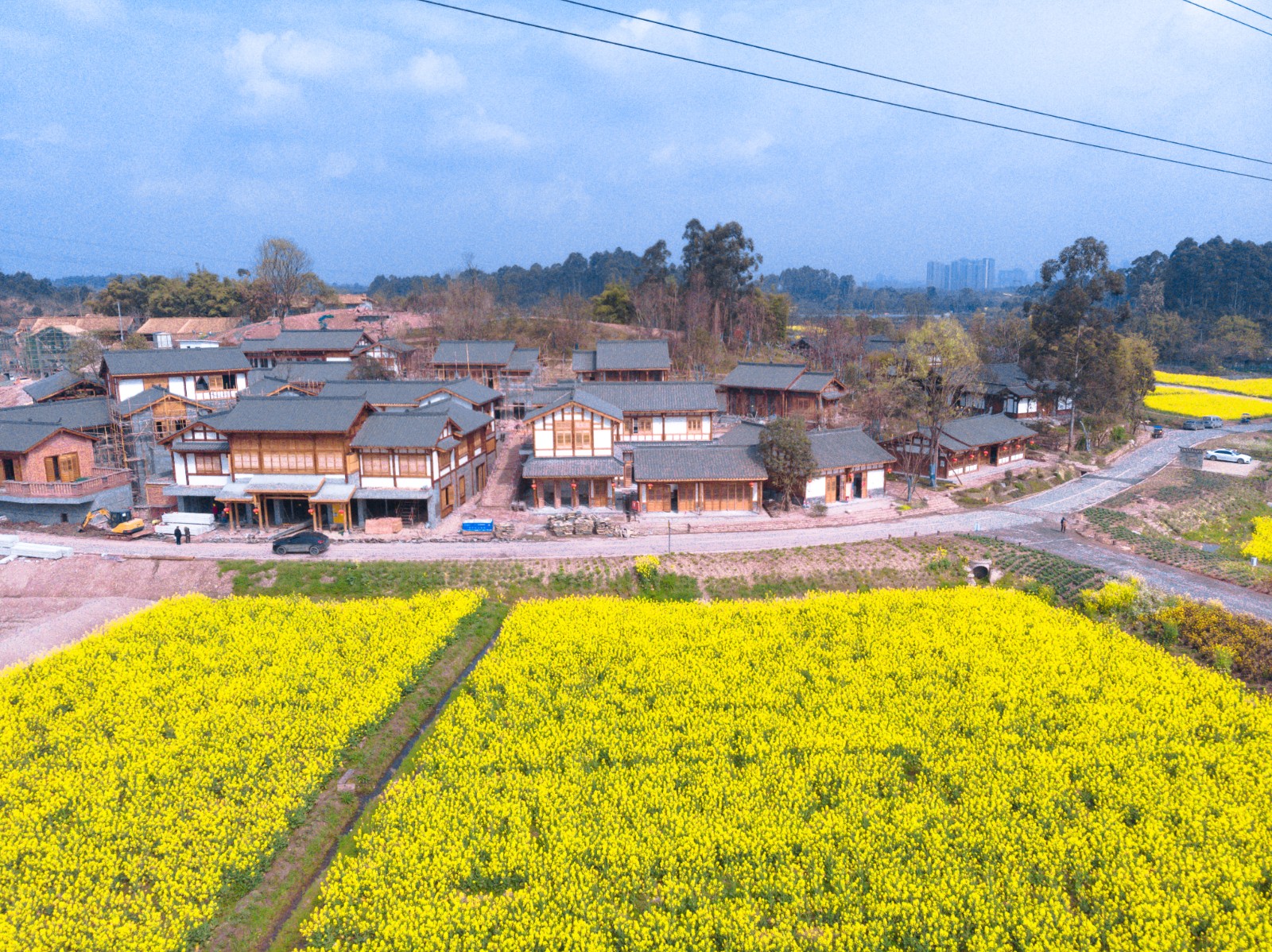 成都天投集团·官塘小村·宅里