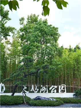 江阴锦艺天鹅湖公园示范区景观设计