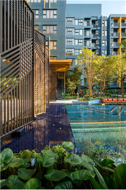 泰国曼谷The Base Sukhumvit 50住宅