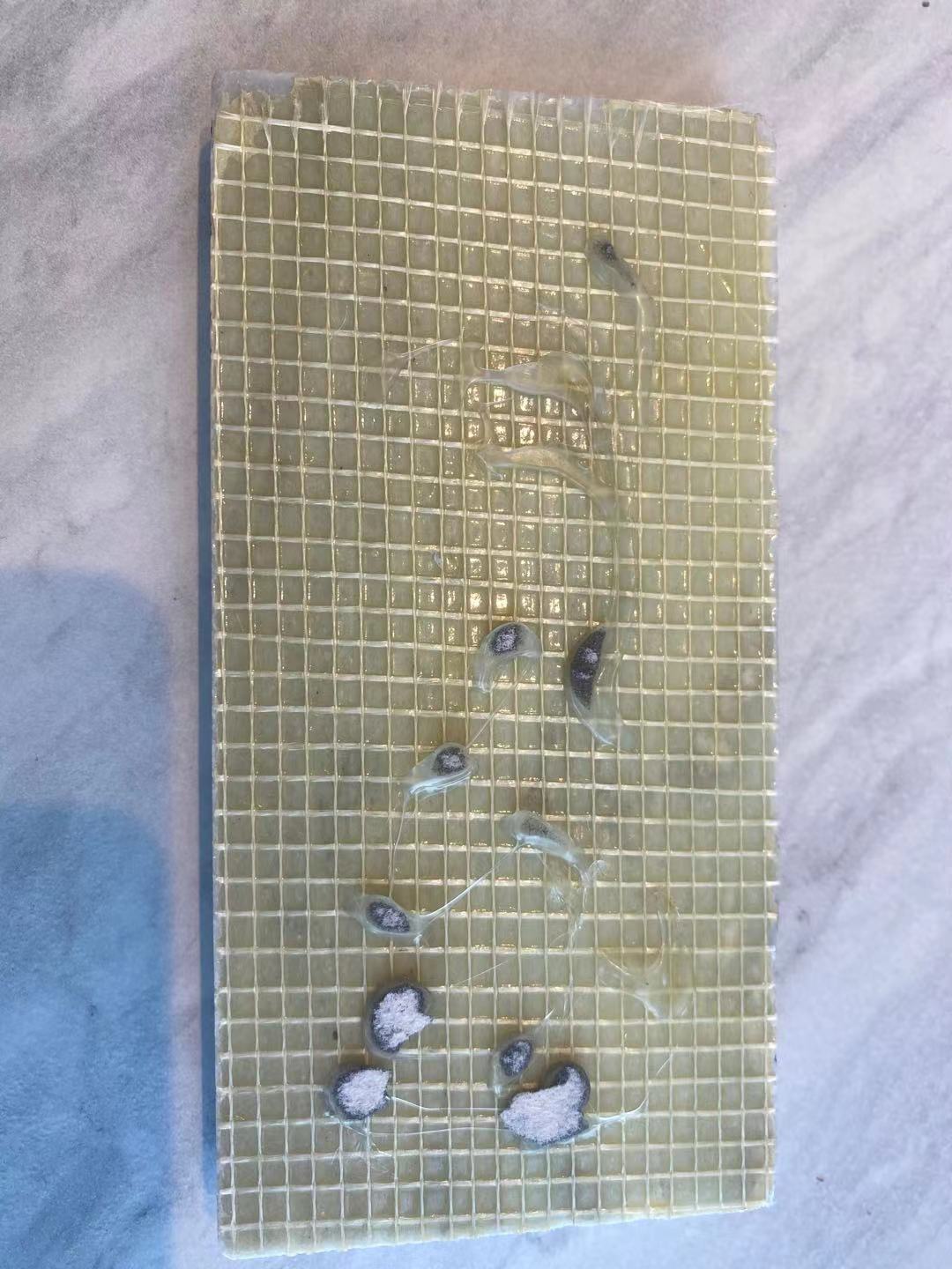 大理石