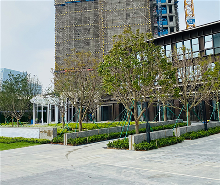 廣州 · 華僑城 · 香頌