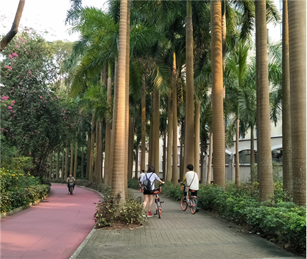 南京 · 華僑城 · 城市政道路景觀設計