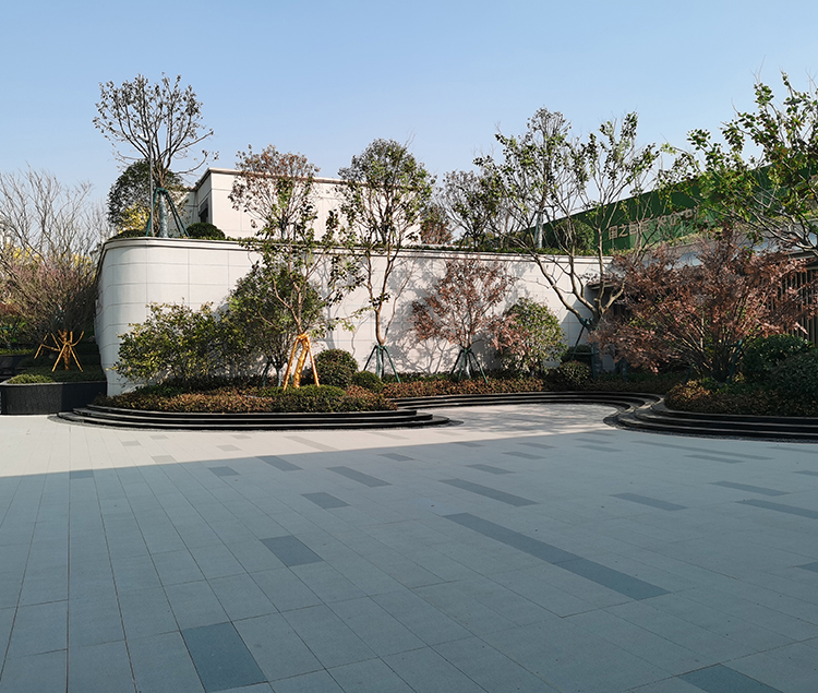 04.jpg