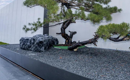 小石子