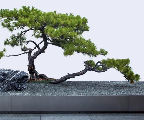 小石子