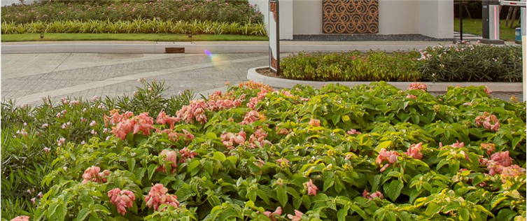 屏幕截图 2022-06-01 145733.png
