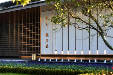 恒力·健康城