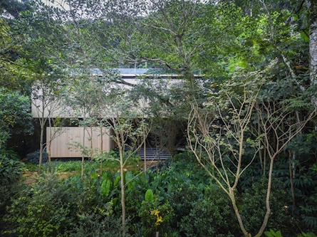 巴西丛林住宅