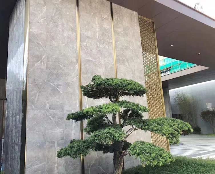 微信圖片_20211214114300