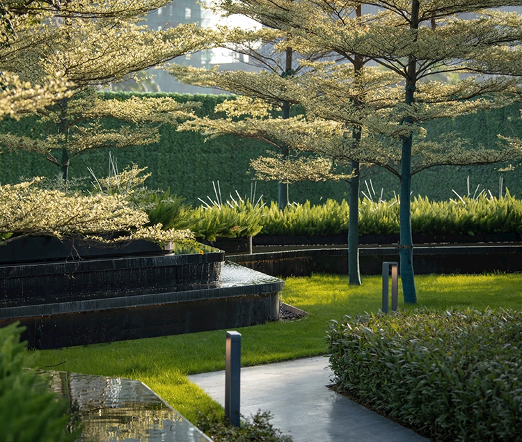 中海 · 南航湾区国际