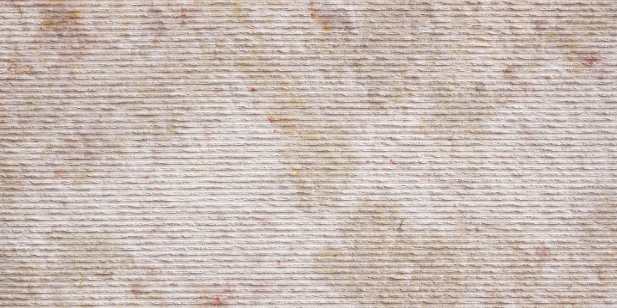 SN010