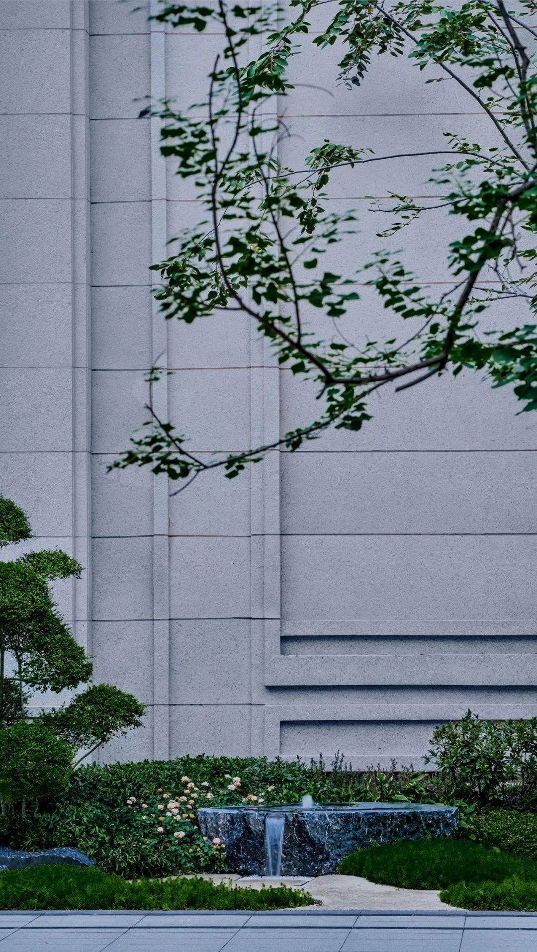 2345_image_file_copy_80