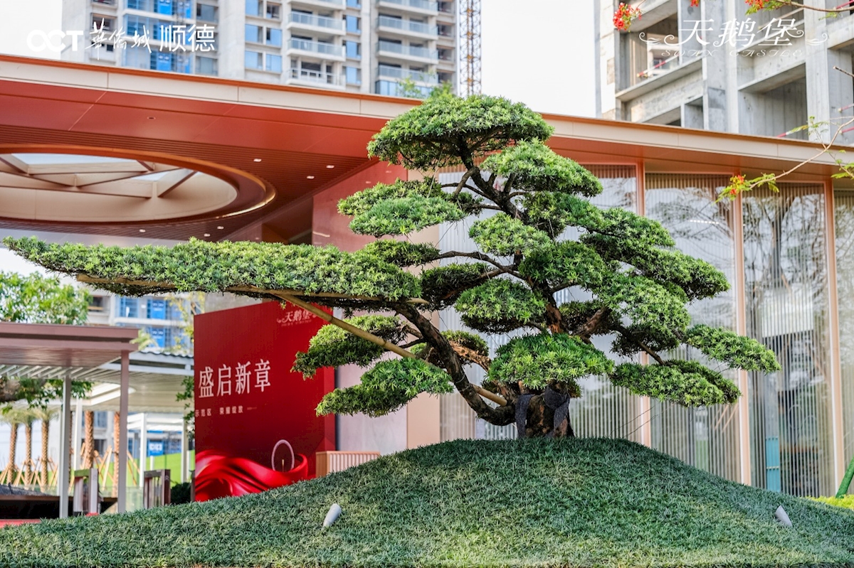2_6093035_看图王