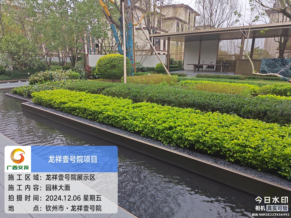 金盘网图片 交投龙祥壹号院