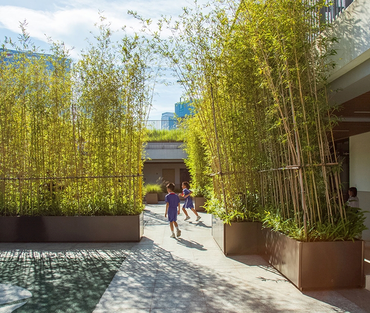 金盘网图片 深圳市宝安中学(集团)海天学校