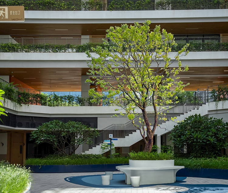 金盘网图片 深圳市宝安中学(集团)海天学校