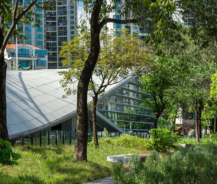 金盘网图片 深圳市宝安中学(集团)海天学校