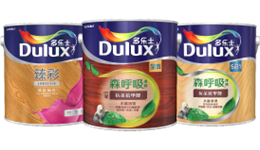 多樂士專業(yè)油漆有限公司